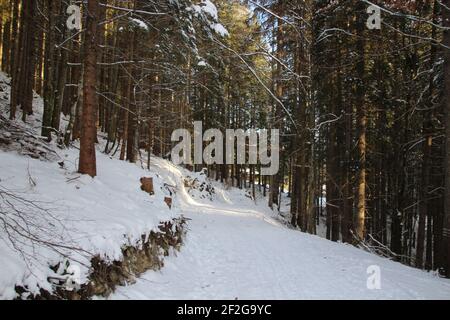 Winterwanderung bei Mittenwald, bei Elmau, Klais, Europa, Deutschland, Bayern, Oberbayern, Werdenfels, Winter, Wanderweg im verschneiten Wald, Sonnenstrahlen Stockfoto