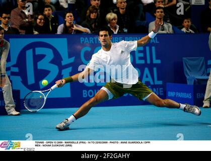 TENNIS - GEÖFFNET 13 2009 - MARSEILLE (FRA) - 14 BIS 22/02/2009 - FOTO : ANNE GUARDIOLA / DPPI MÄNNER - NOVAK DJOKOVIC (SRB) Stockfoto