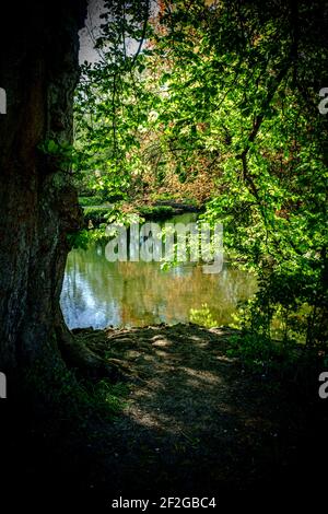 Der Fluss Brett im Frühling Stockfoto