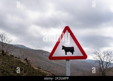 Viehweg Zeichen auf ländlichen Hintergrund. Sicherheitskonzept Stockfoto