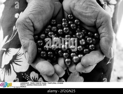 LANDSCHAFT - PERLENFARM IN TAHAA - TAHITI (FRA) - 07/05/09 FOTO : ANDREA FRANCOLINI / DPPI PERLEN Stockfoto