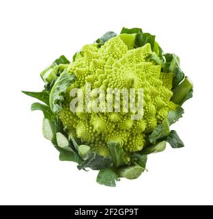 Römischer Blumenkohl isoliert auf weißem Hintergrund. Hochwertige Fotos Stockfoto