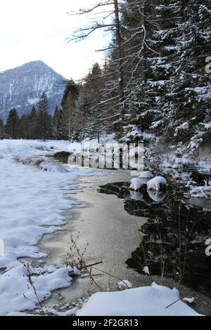 Spaziergang im Riedboden bei Mittenwald, Europa, Deutschland, Bayern, Oberbayern, Werdenfelser Land, Winter, Wald, kleiner Teich am Waldrand Stockfoto