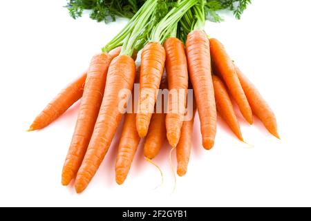 Bund frischer Karotten mit grünen Tops. Isoliert auf einem weißen. Stockfoto