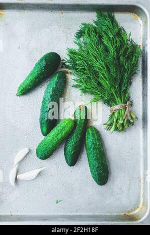 Vorbereitung für Gurken einlegen. Erhaltung. Sommerliches Speisekonzept. Draufsicht. Flach liegend Stockfoto
