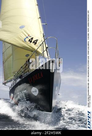SEGELN - GLOBALE HERAUSFORDERUNG 2004-2005 - ETAPPE 3 : WELLINGTON (NZL) NACH SYDNEY (AUS) - SYDNEY (AUS) ANKUNFT - 13/02/2005 - FOTO : ANDREA FRANCOLINI / DPPI TEAM SAIC LA JOLLA Stockfoto