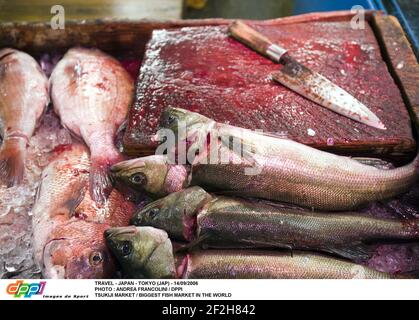 REISEN - JAPAN - TOKIO (JAP) - 14/09/2006 FOTO : ANDREA FRANCOLINI / DPPI TSUKIJI MARKT / GRÖSSTER FISCHMARKT DER WELT Stockfoto