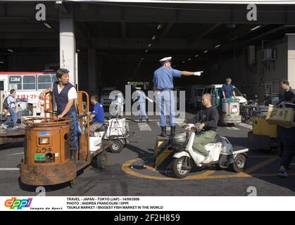 REISEN - JAPAN - TOKIO (JAP) - 14/09/2006 FOTO : ANDREA FRANCOLINI / DPPI TSUKIJI MARKT / GRÖSSTER FISCHMARKT DER WELT Stockfoto