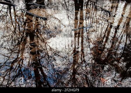 Deutschland, Nordrhein-Westfalen, Furlbachtal, Stockfoto