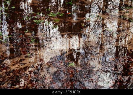 Deutschland, Nordrhein-Westfalen, Furlbachtal, Stockfoto