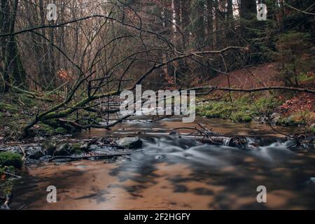Deutschland, Nordrhein-Westfalen, Furlbachtal, Stockfoto