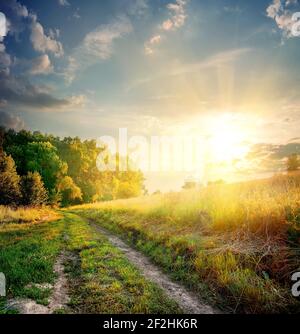 Sonnenstrahlen und Landstraße im Herbst Stockfoto