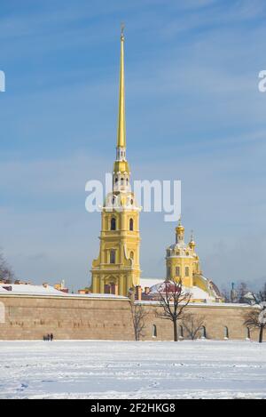 Blick auf den Peter und Paul Dom in der Peter und Paul Festung an einem sonnigen Februartag. St. Petersburg, Russland Stockfoto