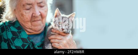 Ukraine, Odessa, Januar 01 2020: Porträt einer älteren Frau, die eine Katze mit braunen Augen hält. Stockfoto