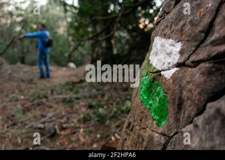 Eine selektive Fokusaufnahme einer grünen und weißen Flagge Gemalt auf einem riesigen Felsen, auf dem ein Männchen steht Der Hintergrund Stockfoto