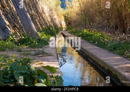 Eine schöne Aufnahme eines betonierten Wasserkanals umgeben von Hohe trockene Pflanzen und Unkraut Stockfoto