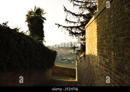 Ein Blick von einer Allee mit einer Palme in einem mittelalterlichen italienischen Dorf (Marken, Italien, Europa) Stockfoto