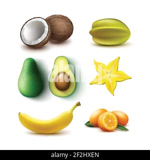 Vektor-Set von ganzen und halb geschnitten tropischen Früchten Avocado, Banane, Kokosnuss, Karambola, Starfruit, Kumquat isoliert auf weißem Hintergrund Stock Vektor
