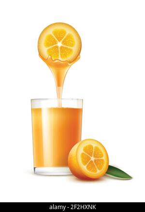 Vector Kumquat Scheibe mit Saftstrom und Glas isoliert auf Weißer Hintergrund Stock Vektor