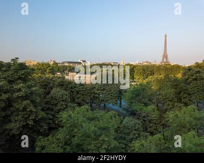 Eiffelturm, der von den Bäumen aus auftaucht, von den Gärten des Grand Palais aus gesehen (mit der Drohne) Stockfoto
