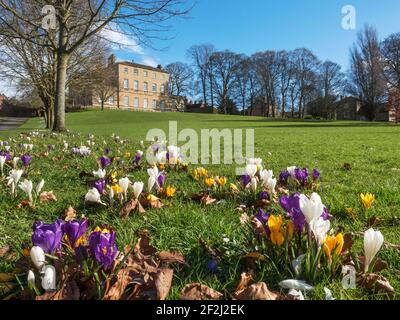 Knaresborough House ein spätes C18 Stadthaus jetzt stadtrat Büros im Frühjahr Knaresborough North Yorkshire England Stockfoto