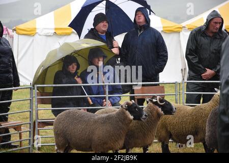 Eine sehr nasse Abington Show, South Lanarkshire, Schottland Stockfoto