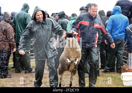 Eine sehr nasse Abington Show, South Lanarkshire, Schottland Stockfoto