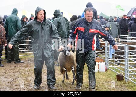 Eine sehr nasse Abington Show, South Lanarkshire, Schottland Stockfoto