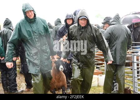 Eine sehr nasse Abington Show, South Lanarkshire, Schottland Stockfoto