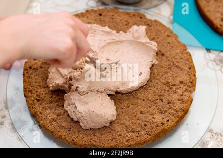 Arbeitsprozess des Backens Kuchen zu Hause. Nahaufnahme der weiblichen Hand Belag Creme auf Schokolade Biscuit. Kulinarisches und köstliches Dessertkonzept. Stockfoto