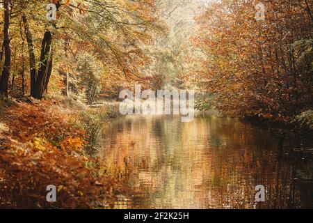 Landschaftsansicht des Kanals im Herbst mit Reflexionen und Wellen Stockfoto