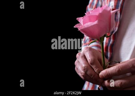 Männliche Hände halten rosa Rose isoliert auf schwarz mit Kopierraum. Stockfoto