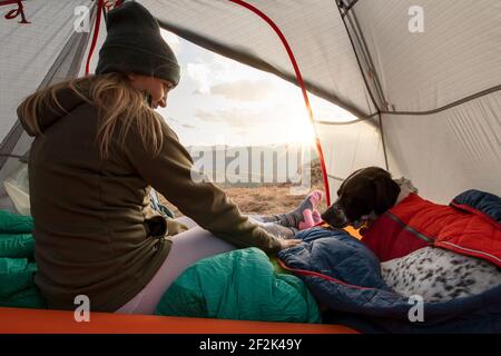 Frau camping mit Hund im Zelt auf Berg während des Urlaubs Stockfoto