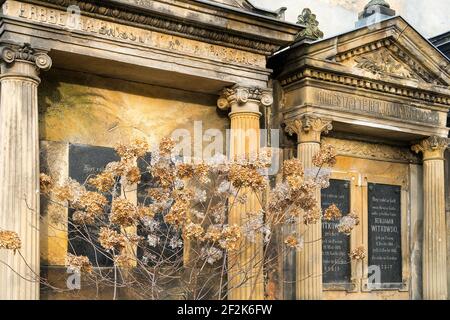 Berlin, jüdischer Friedhof Berlin Weissensee, größter überlebender jüdischer Friedhof in Europa, verwelkte Hortensien Stockfoto