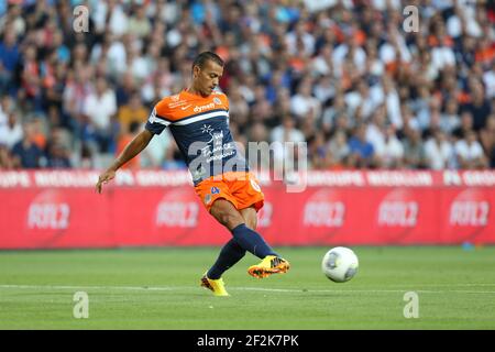 Fußball - Französische Meisterschaft 2013/2014 - L1 - Montpellier HSC gegen Paris Saint Germain am 09. August 2013 in Montpellier, Frankreich - Foto Manuel Blondau / AOP Press / DPPI - Hilton of Montpellier HSC Stockfoto