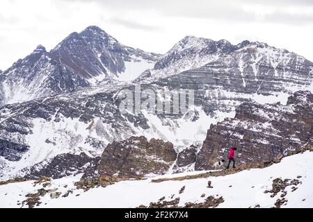 Frau beim Bergsteigen mit Hund im Urlaub im Winter Stockfoto