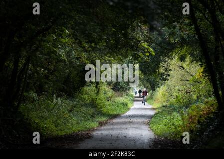 Radfahrer auf dem Tarka Trail Wanderweg und Radweg auf dem South West Coast Path in Fremington, Devon, Großbritannien. Stockfoto