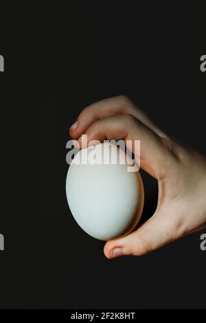 Kinderhand mit weißem Entenei auf schwarzem Hintergrund Stockfoto