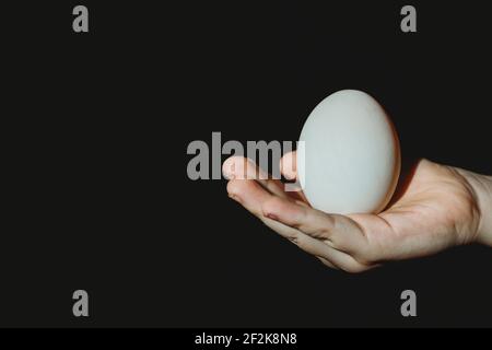 Kinderhand mit weißem Entenei auf schwarzem Hintergrund Stockfoto