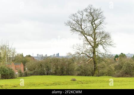 Dächer, Landschaft, Bäume, Feld, hohe Gebäude in Leicester City Centre Skyline. Tower Blocks, St. George’s Tower und Cardinal Telephone Exchange. Stockfoto