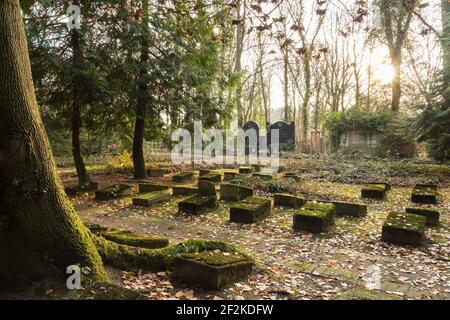 Berlin, jüdischer Friedhof Berlin Weissensee, Urnenfeld mit moosigen Grabsteinen Stockfoto