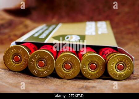 Jagdgewehr Patronen, Illustration, Frankreich Stockfoto