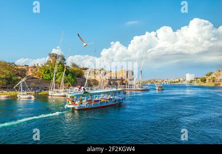 Touristenboote auf dem Nilfluss in Assuan, Ägypten Stockfoto