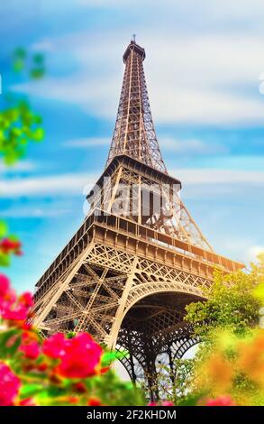 Metall-Eiffelturm und Champs de Mars in Paris, Frankreich Stockfoto