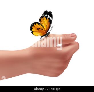 Vektor-Illustration der menschlichen rechten Hand mit Schmetterling. Nahaufnahme, isoliert auf weißem Hintergrund Stock Vektor