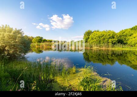 Sonnigen Tag auf einem ruhigen Fluss im Sommer Stockfoto