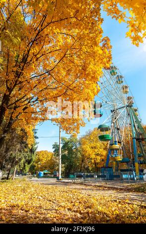 Maples im Herbstpark am Tag und Ferrisrad Stockfoto