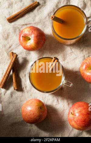 Bio warmer erfrischender Apfelwein Saft mit Zimt Stick Stockfoto