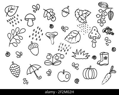 Die herbstlichen Kritzeleien auf weißem Hintergrund hinterlassen Pilzbeeren Kürbiskerne Karotten Stiefel Regenschirm Stockfoto