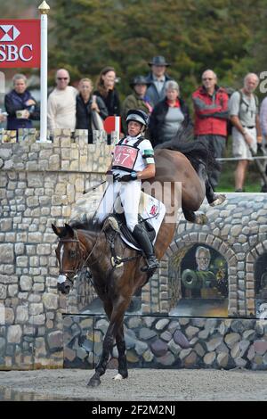 Isabelle TAYLOR (GBR) KBIS BRIARLANDS MATILDA während der FEI European Eventing Championships 2013 in Malmö (Schweden) vom 29th. August bis 1st. September 2013 - 31/08/2013 - Foto : Christophe Bricot / DPPI - Stockfoto